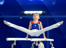 Bakıda kişi idman gimnastikası üzrə çoxnövçülükdə yarışlar başlayıb. Azərbaycan, 5 dekabr 2015